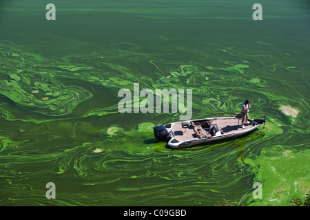 Un bass fisherman proietta per il pesce tossico alghe blu-verdi nel Copco serbatoio nel nord della California. Foto Stock