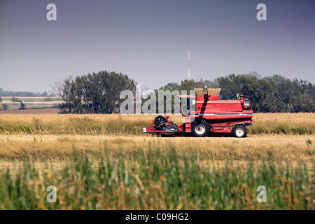 Autumn harvest su American Great Plains Foto Stock