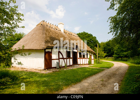 Idilliaco vecchia casa in legno e muratura, il villaggio di Funen open air museum, Odense, Danimarca, Europa Foto Stock