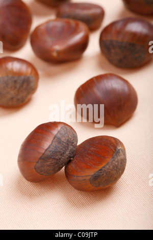 Le castagne su un panno assorbente Foto Stock
