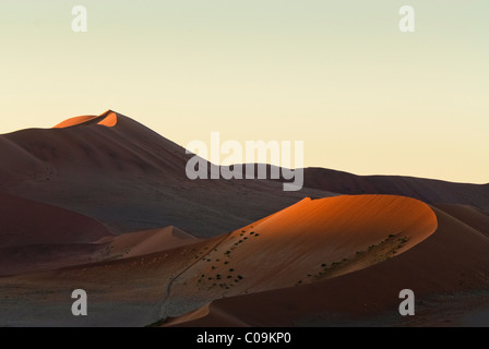 Sossusvlei dunes parco Nauklift in Namibia. Tramonto Foto Stock