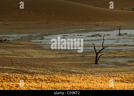 Sossusvlei dunes parco Nauklift in Namibia. Foto Stock