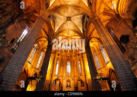 Interno, coro, navata principale, gotica Cattedrale de La Catedral de la Santa Creu i Santa Eulalia, Barcellona, in Catalogna, Spagna Foto Stock