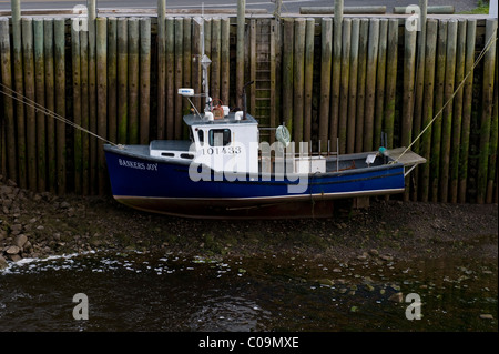 Barca da pesca ormeggiate a bassa marea per Wharf nei padiglioni Harbour, Nova Scotia, Canada. Foto Stock