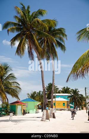 Una pittoresca spiaggia di città del Belize. Foto Stock