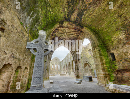 Decorate croce di pietra in rovine del monastero, Abbazia di Jerpoint, nella Contea di Kilkenny, Repubblica di Irlanda, Isole britanniche, Europa Foto Stock