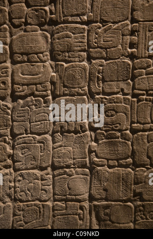Stela 31 (Re cielo tempestoso) dalla classica città maya di Tikal, Guatemala. Il Museo di Antropologia di Città del Messico. Foto Stock