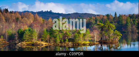 Inghilterra, Cumbria, Parco Nazionale del Distretto dei Laghi. Mix di latifoglie e sempreverdi alberi che circondano le acque bordo del Tarn Hows Foto Stock