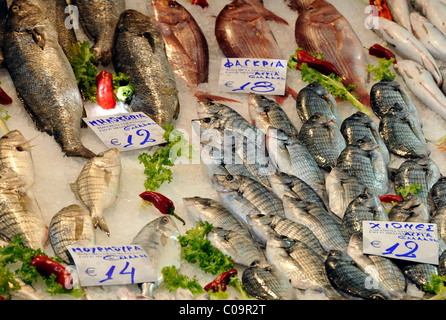 Le vendite di pesce, quartiere del mercato, sale di mercato, Salonicco, Calcidica, Macedonia, Grecia, Europa Foto Stock