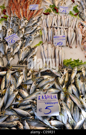 Le vendite di pesce, quartiere del mercato, sale di mercato, Salonicco, Calcidica, Macedonia, Grecia, Europa Foto Stock