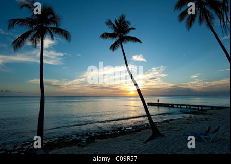 Tramonto con palme e giovane, Bayahibe Beach, Repubblica Dominicana Foto Stock