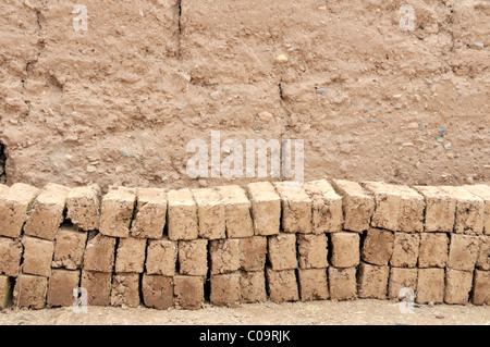 Mattoni di terra sbattuta architettura nella città vecchia o Medina, Ouarzazate, Marocco, Africa Foto Stock