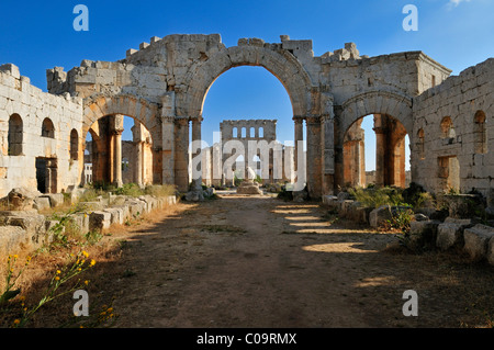 La rovina di San Simeone Monastero, Qala'at Samaan, Qalaat Seman sito archeologico, città morta, Siria, Medio Oriente e Asia Orientale Foto Stock