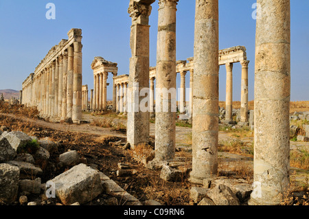 Rovine presso il sito archeologico romano di Apameia, Apamea, Qalaat al Mudiq, Siria, Medio Oriente e Asia Orientale Foto Stock