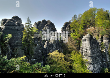 Vista sul Bastei formazioni rocciose, Svizzera Sassone, Svizzera Sassone Elbe montagne di arenaria, Sassonia, Germania, Europa Foto Stock