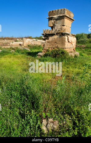 Acqua fenicia tempio presso il sito archeologico di Amrit nei pressi di Tartus, Tartous, Siria, Medio Oriente e Asia Orientale Foto Stock