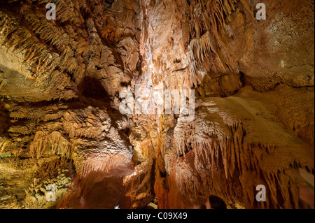 La Jama Baredine, grotta stalattitica, Nova Vas, Parenzo in Istria, Croazia, Europa Foto Stock