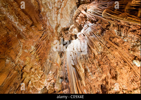 La Jama Baredine, grotta stalattitica, Nova Vas, Parenzo in Istria, Croazia, Europa Foto Stock