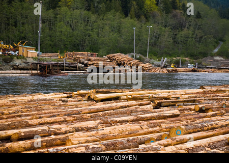 Log essendo formata in panne galleggianti per il trasporto alle segherie Foto Stock