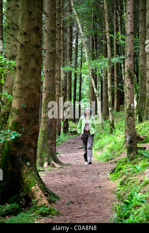 Escursionista donna in Dooney Rock foresta. Vicino a Sligo città. Nella contea di Sligo. Repubblica di Irlanda. Foto Stock