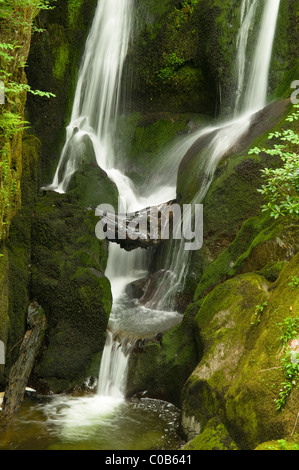 Magazzino ghyll vigore. ambleside, cumbria, Regno Unito. maggio. nel distretto del lago, laghi inglesi. Foto Stock