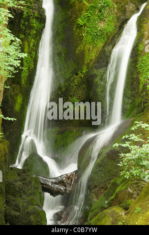 Magazzino ghyll vigore. ambleside, cumbria, Regno Unito. il distretto del lago. maggio. nel distretto del lago, laghi inglesi. Foto Stock