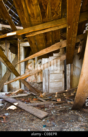 Crollato interno di un pioniere in legno homestead in Alberta, Canada Foto Stock