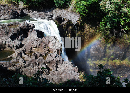 Rainbow Falls. Foto Stock