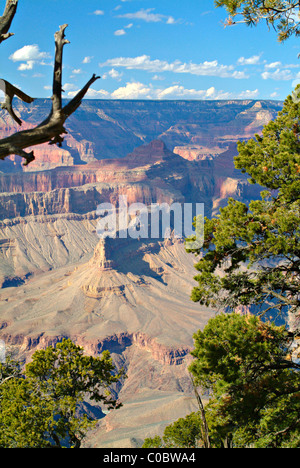 Tempio di Ra da eremiti resto Parco Nazionale del Grand Canyon Arizona Stati Uniti America STATI UNITI D'AMERICA Foto Stock