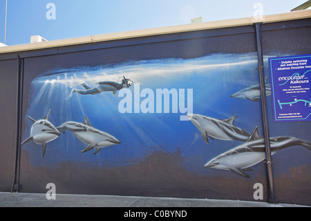 Carta murale, West End, Kaikoura, Canterbury, Isola del Sud, Nuova Zelanda Foto Stock