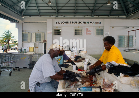 St John's Antigua persone lavorando eviscerazione pesce in San Giovanni pubblica del mercato del pesce Foto Stock