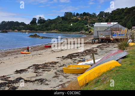 Lungomare della spiaggia, Halfmoon Bay, Oban, Stewart Island (Rakiura), Southland Region, nuova Zelanda Foto Stock