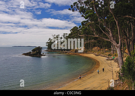 Lonnekers Beach, Halfmoon Bay, Oban, Stewart Island (Rakiura), Southland Region, Nuova Zelanda Foto Stock