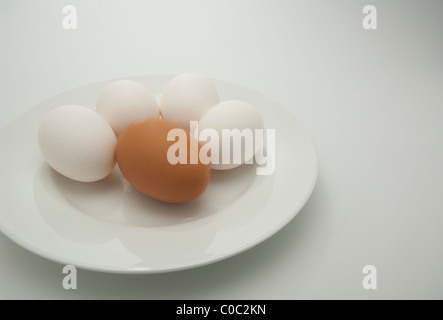 Agricoltura biologica uovo marrone sulla piastra con prodotti di massa le uova bianche Foto Stock