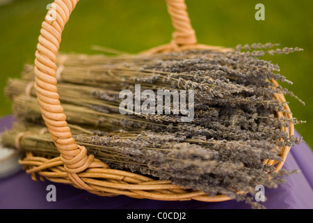 Lavanda in cesto in vimini Foto Stock