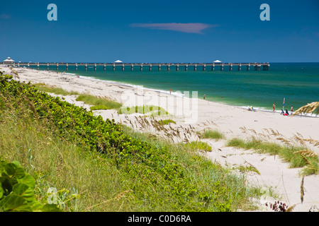 Juno Beach Pier, Juno Beach, uno dei più produttivi tartaruga di mare siti di nidificazione nel mondo, Florida, Oceano Atlantico Foto Stock