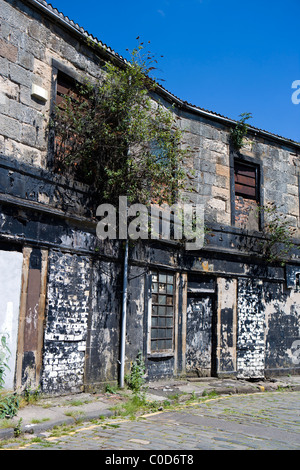 Vecchi edifici DERILECT in Glasgow Scotland Regno Unito Foto Stock