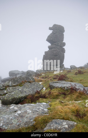 La Bowerman del naso, Dartmoor in inverno la nebbia. Foto Stock