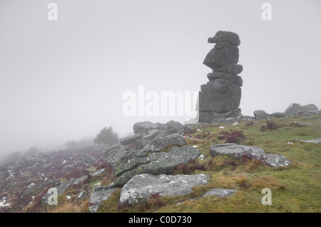 La Bowerman del naso, Dartmoor in inverno la nebbia. Foto Stock