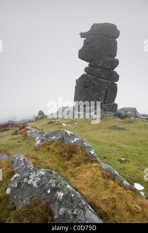 La Bowerman del naso, Dartmoor in inverno la nebbia. Foto Stock