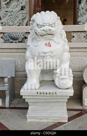 Custode cinese Lions all'ingresso di un tempio taoista. Foto Stock