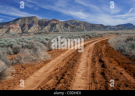 Strada del deserto Foto Stock