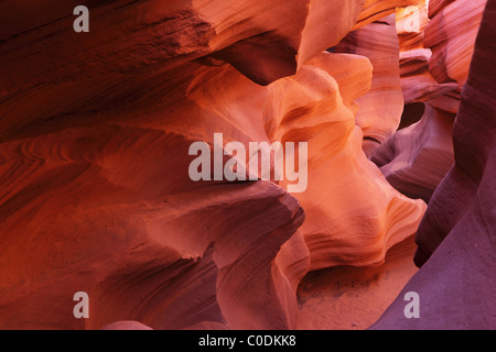 Magic gioca il rosso e l'arancione nel famoso Antelope Canyon nella Navajo Indian Reservation. Stati Uniti Foto Stock
