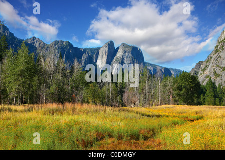 Splendida radura con un erba gialla valle di Yosemite Park Foto Stock