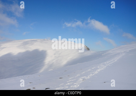 Orme nella neve durante la fase di avvicinamento al vertice di Helvellyn in inverno nel Lake District inglese Foto Stock