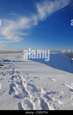 Orme nella neve sul vertice di Helvellyn in inverno nel Lake District inglese Foto Stock