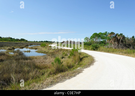 Merritt Island National Wildlife Refuge Titusville, Florida USA Foto Stock