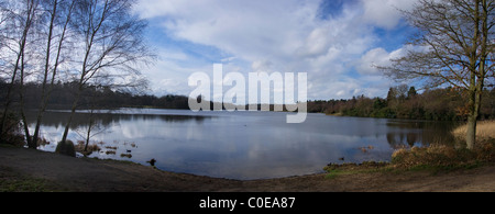 Panorama di Virginia Water Foto Stock