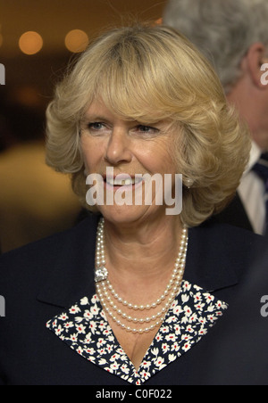 La signora Camilla Parker Bowles, duchessa di Cornovaglia Foto Stock