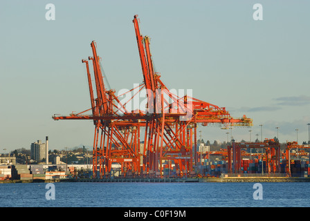 Idle Gantry cranes sulle banchine del lungomare di Vancouver al Porto interno. Foto Stock